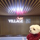 이마트24 파주사이먼점 | 스타필드 빌리지 운정점 파주 강아지와 애견동반으로 펫라운지 어반플랜트 펫빌리지 방문한 솔직 후기