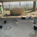 토고미농장 이미지