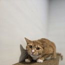 장기쉼터 앞 이미지