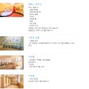 없이도 완벽했던 하루✨ 5살 아이와 함께한 꿀팁 대방출! (미녀와야수 오픈런 성공 후기) 유모차 대여실패
