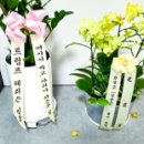 물결사진관 - 전주시 완산구 현무1길 11-1 | 물결사진관