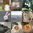 한영수지 | 완벽하진 않지만 온전했던 80점의 하루들