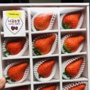 나길농장 이미지