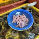 수산물직판장(6호) 이미지