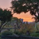 이천쌀밥 원이쌀밥 이미지