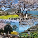 노량나루터 공원 | [남해 벚꽃여행] 나루터휴게소-왕지벚꽃길-다랭이마을 까지 숨은 봄 감성 스팟 총정리(feat. 벚꽃 개화...