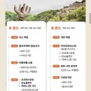 페이지 | [세부여행] 세부 로컬페이지 핫플시티투어 코스 A 후기