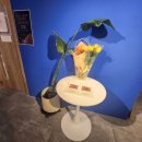 MEG아트홀 이미지