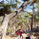 [2월 12일 (일) 근교산행] 100대 명산 춘천 삼악산 654m 이미지