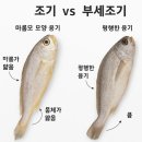 “굴비의 세대교체: 참조기에서 부세로, 소비자가 꼭 알아야 할 차이점과 선택 가이드”