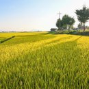 진봉심포드리마을 이미지