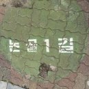 [묵호] 당일치기로 쌉가넝 묵호 후기