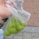 부남아줌마