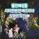 울산웨딩홀 투어! 시티컨벤션 예그리나 살펴본 후기🎀
