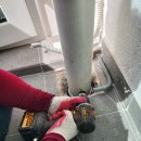 동성백두 이미지