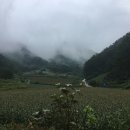 애리네 민박 | 영월 자연 속 힐링 여행 #산골초가민박 #삼시세끼