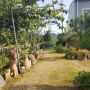 참새골농원 이미지