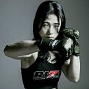 종합격투기 MK스포츠
