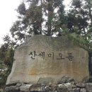 유수암리 산새미오름방묘 이미지