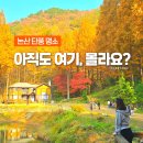 천생산산림욕장(하)화장실 | 논산 여행 온빛자연휴양림 드라마 촬영지 실시간 단풍 명소 주차장 팁