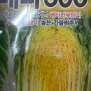 경안종묘농약사 이미지