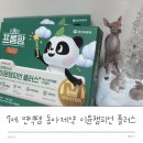 세영약국 | 7세 면역관리 필수템, 동아제약 이뮨챔피언 내돈내산 후기!