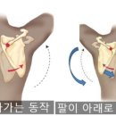 감일다나은의원