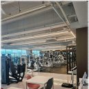 웰니스앤핏 헬스 PT 동탄호수공원점 이미지