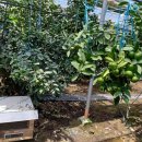 서귀포농업기술센터 이미지