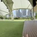 서울파크뮤직페스티벌 후기(feat.공원, 소수빈,씨엔블루,실리카겔,잔나비)