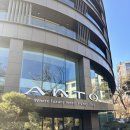 폴짝하우스 | 한화 안토 리조트 가든하우스 호캉스 후기 (feat. 히노키탕, 인피니티풀)