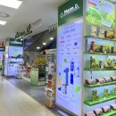 파마트엘지약국 | 다낭 롯데마트 쇼핑 추천파마디에서 구매한 백호연고 사용 후기