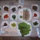 산채건강마을 이미지