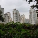 고등자이공인중개사사무소 이미지