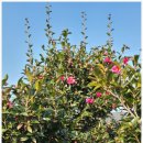 농원농산 이미지