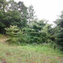 서울문구사 이미지