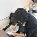 지오엠디 이미지