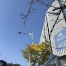 터미널14번길 | [춘천여행] &#39;춘천고속버스터미널&#39; 시간표, 안동휴게소(부산방향) 후기