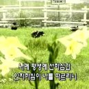 여호와는 나의 목자시니 (시편 23편) 3가지 버전 이미지