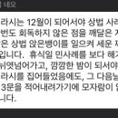 [판매] 상법 사례형 대비 압축 정리자료 이미지