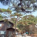 국립운악산자연휴양림 이미지