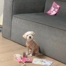 크린토피아민락 - 수영구 광안해변로 425 | 2022 블챌 일기 ⑪ (08.15~08.21)