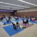 소소팔팔 이미지