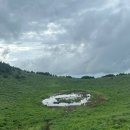 금오름농장 이미지