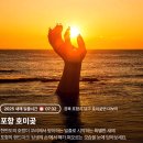 2025 해돋이 행사 이미지