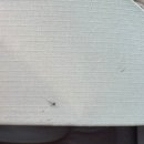 대원세탁 이미지