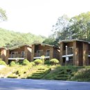 대야산자연휴양림 이미지