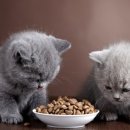 (주)아남실업 이미지