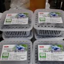 아영농장 이미지