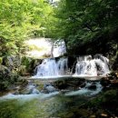 하추자연휴양림 이미지